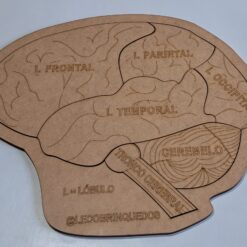 Quebra Cabeça Gigante do Cérebro e Funções em MDF